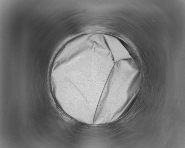 X0000075361488200610061734