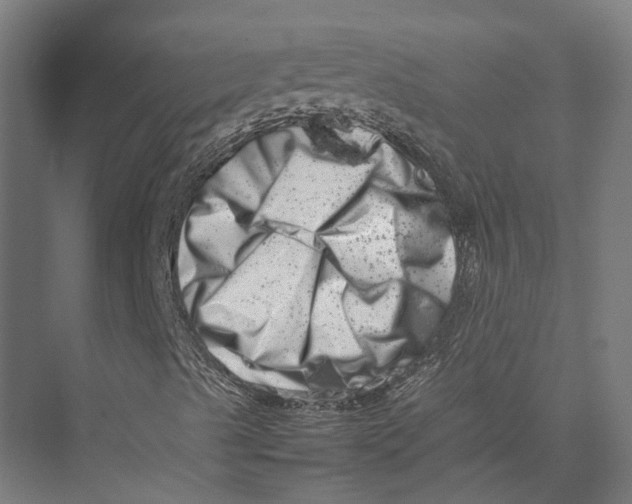 X0000075361489200610061733