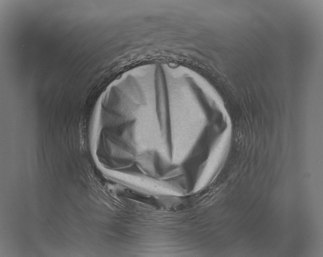 X0000075361490200610061733