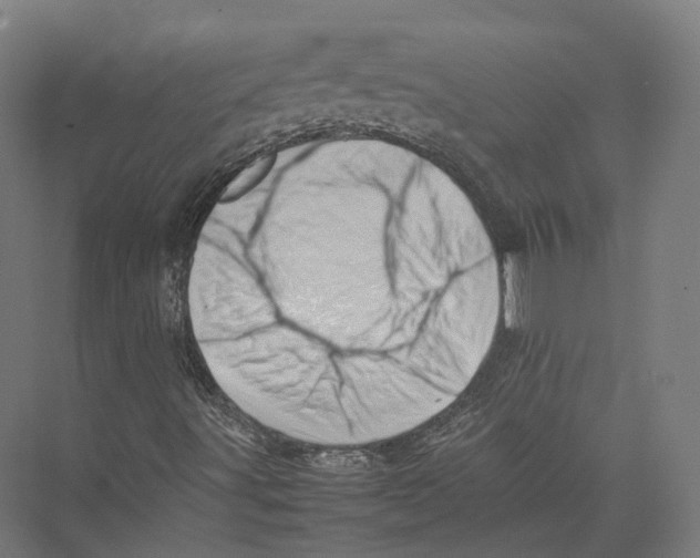 X0000075361491200610061733