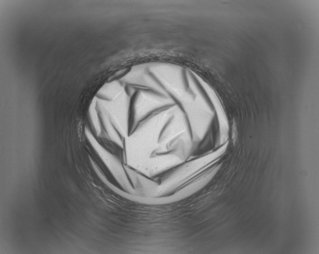 X0000075361492200610061733