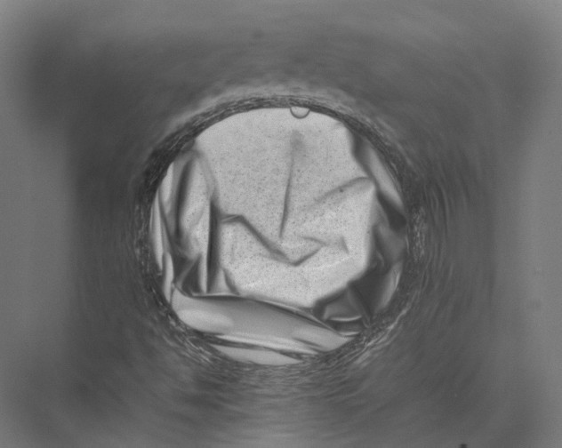 X0000075361494200610061733