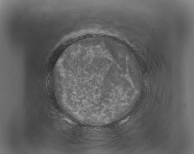 X0000075361495200610061733