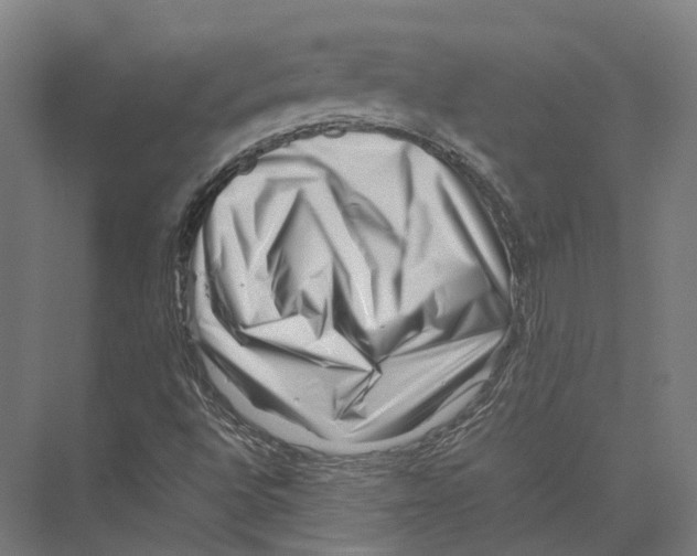 X0000075361496200610061733