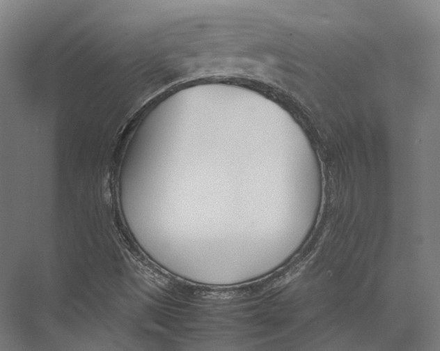 X0000075361497200610061733