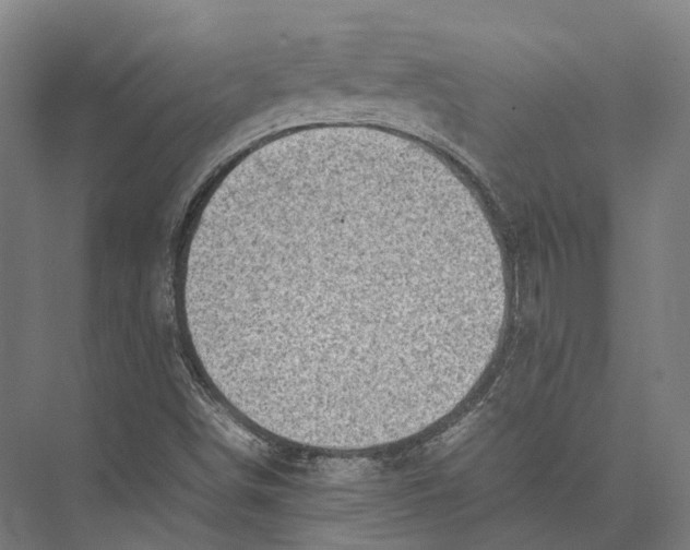 X0000075361498200610061733