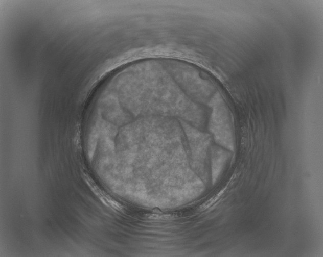 X0000075361499200610061733