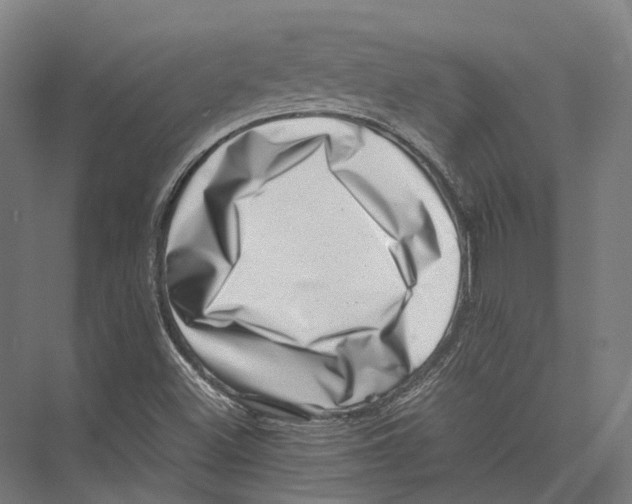 X0000075361500200610061733