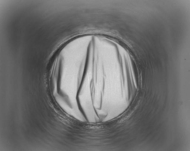 X0000075361501200610061733