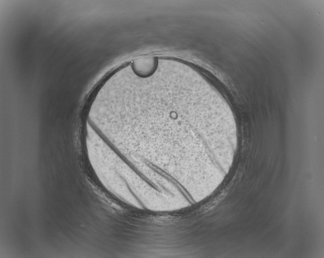 X0000075361502200610061733