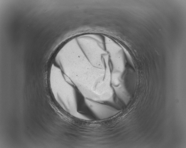 X0000075361503200610061733