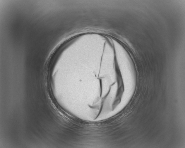 X0000075361504200610061733