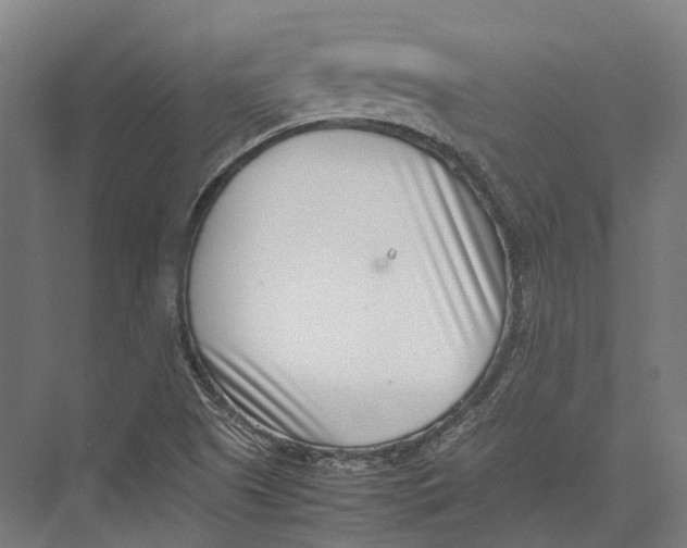 X0000075361505200610061733