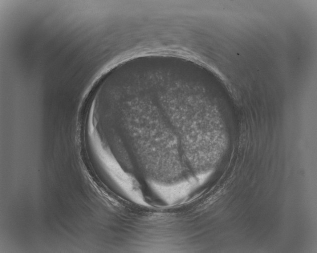 X0000075361506200610061733