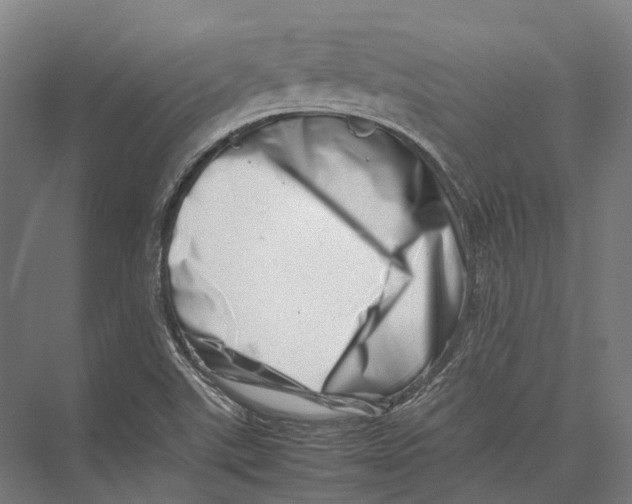 X0000075361507200610061733