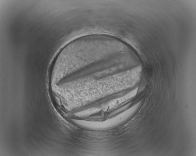 X0000075361508200610061733