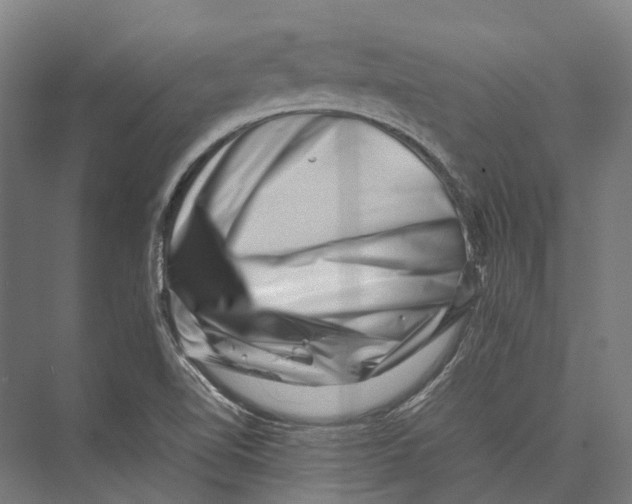 X0000075361510200610061733