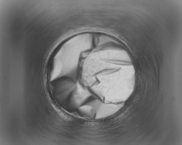 X0000075361511200610061733