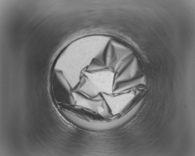 X0000075361512200610061733