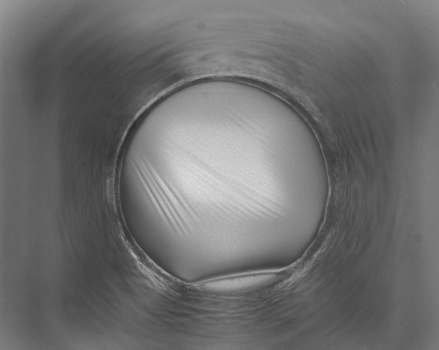 X0000075361513200610061733