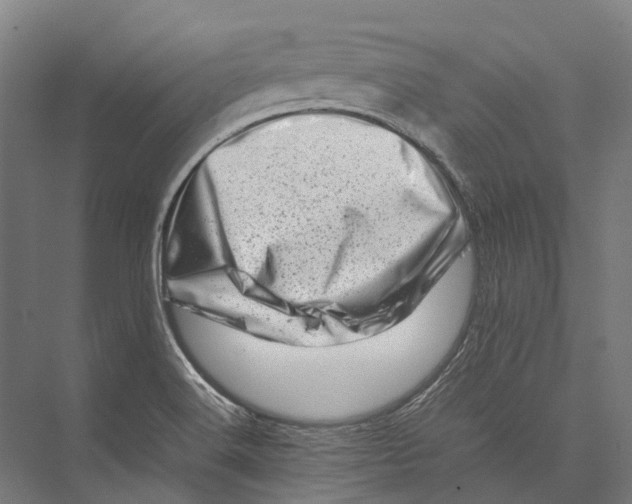 X0000075361516200610061733