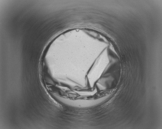 X0000075361517200610061733