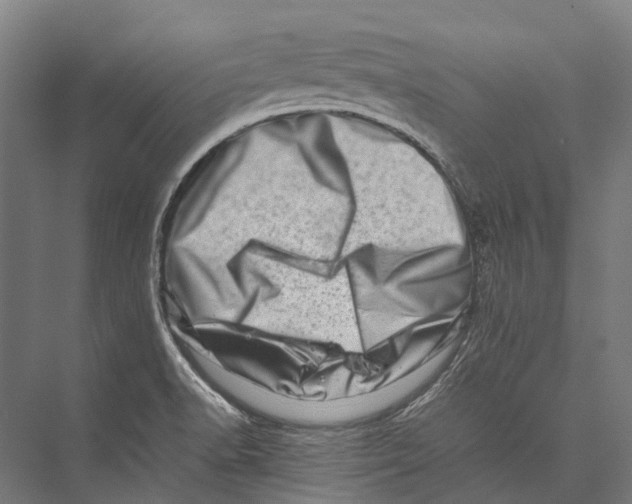 X0000075361518200610061733