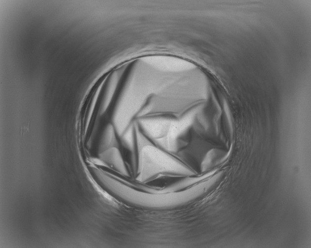 X0000075361519200610061733