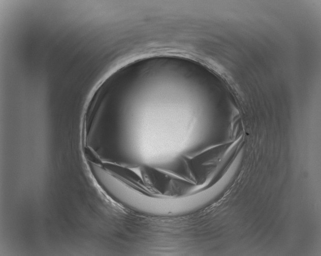 X0000075361520200610061733