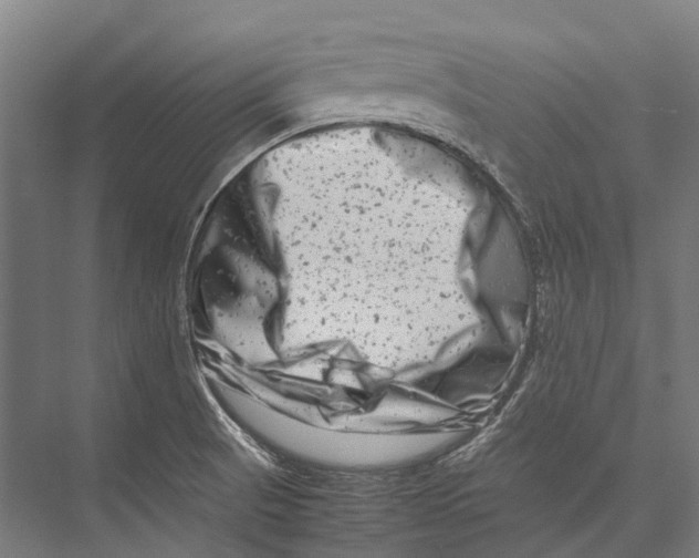 X0000075361521200610061733