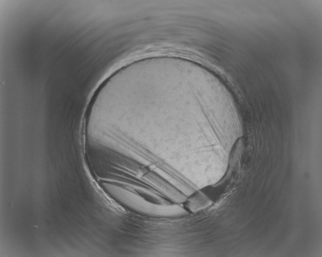 X0000075361522200610061733