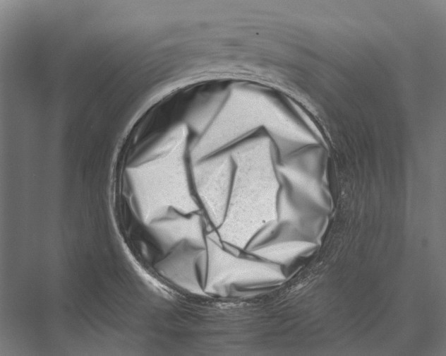 X0000075361523200610061733