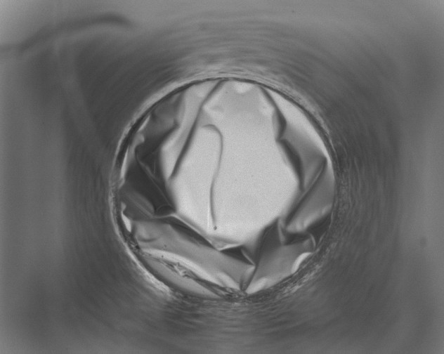 X0000075361525200610061733