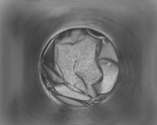 X0000075361526200610061733