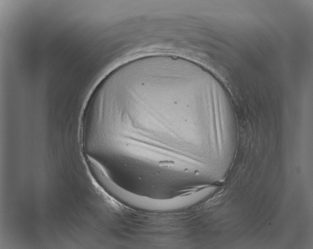 X0000075361527200610061733