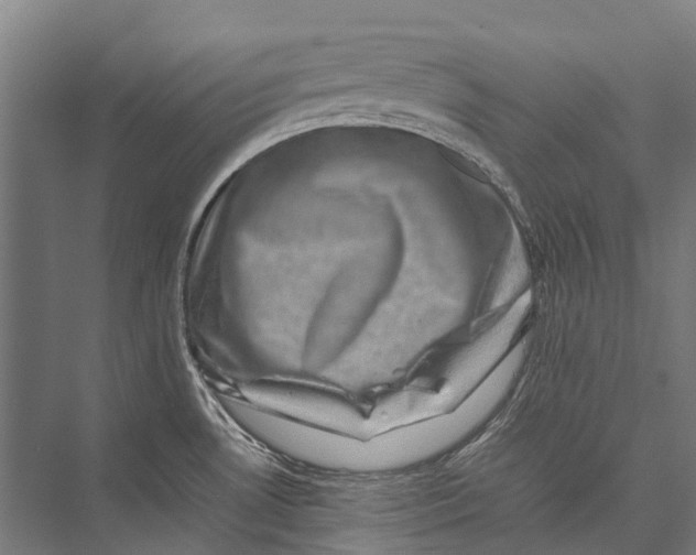 X0000075361530200610061734