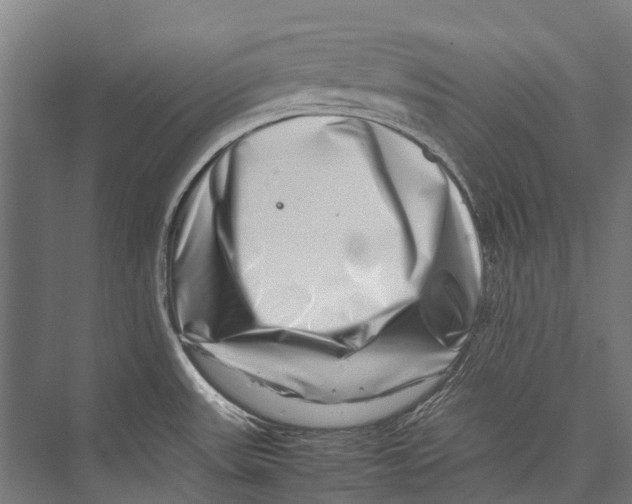 X0000075361531200610061734