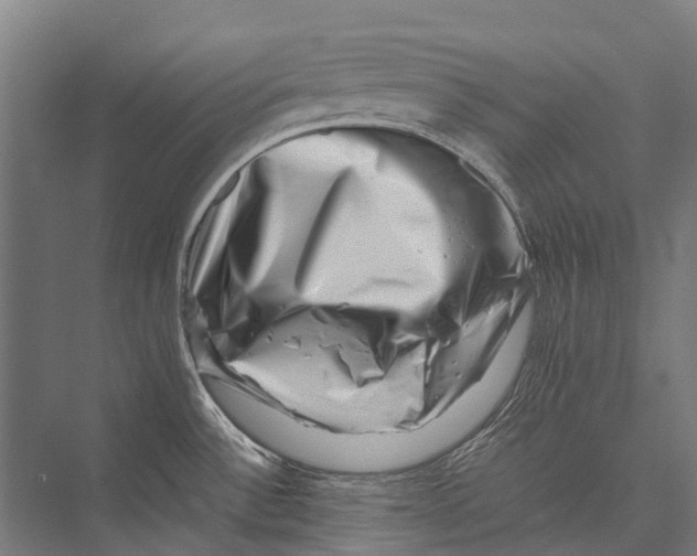 X0000075361532200610061734