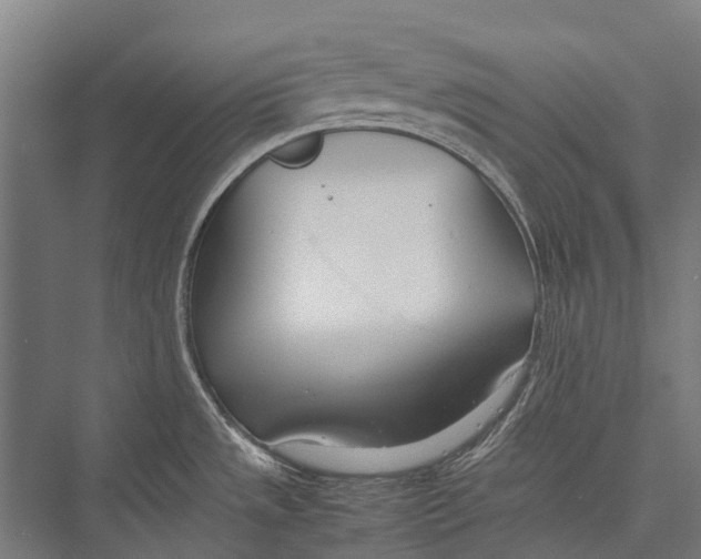 X0000075361533200610061734