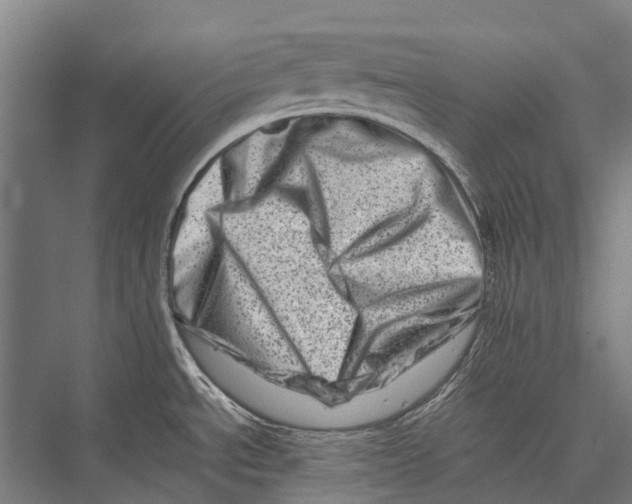 X0000075361534200610061734