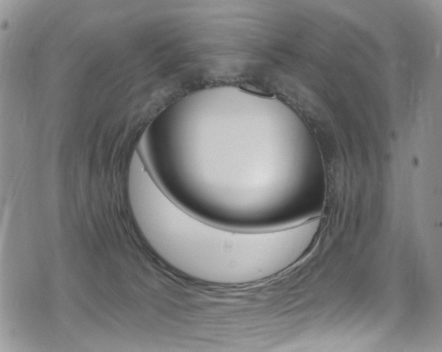 X0000075370033200609080842