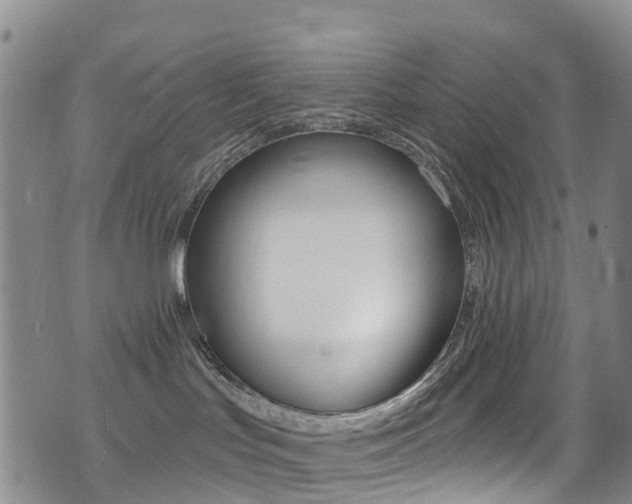 X0000075370047200609080842