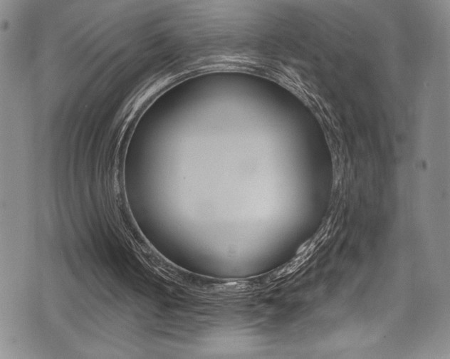 X0000075370050200609080841