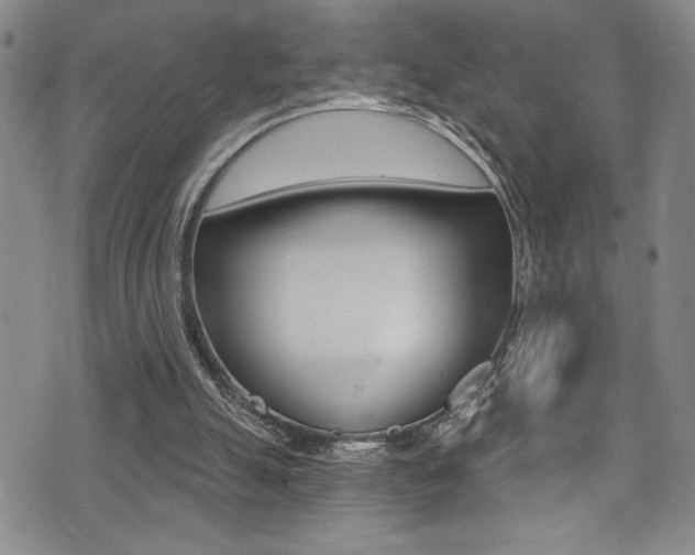 X0000075370055200609080841