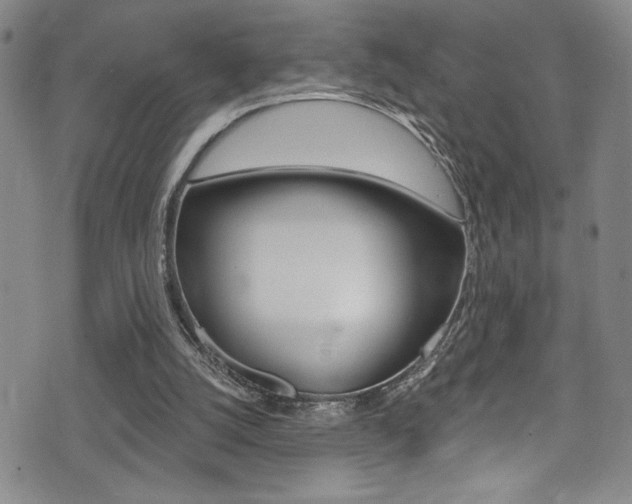 X0000075370056200609080841