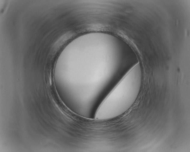 X0000075370062200609080842