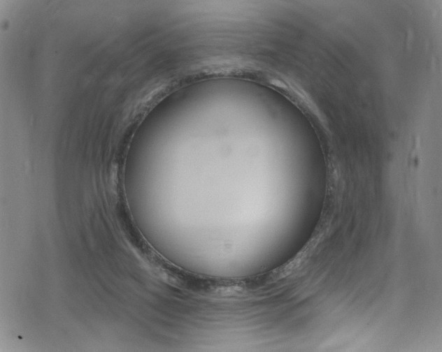 X0000075370066200609080842
