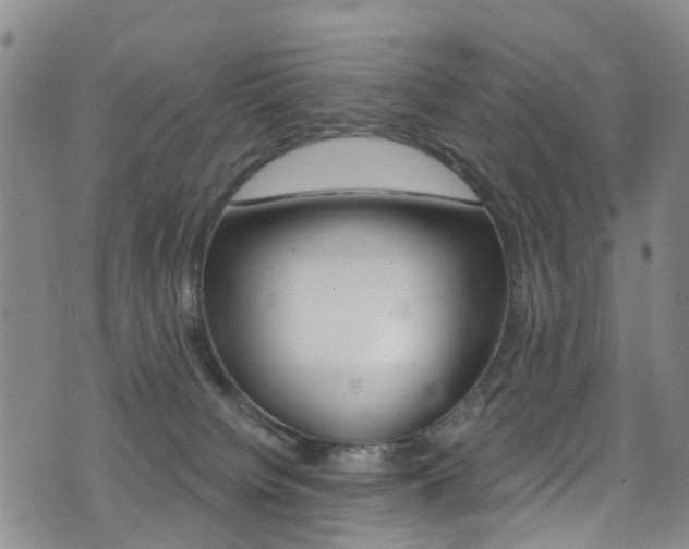 X0000075370084200609080842