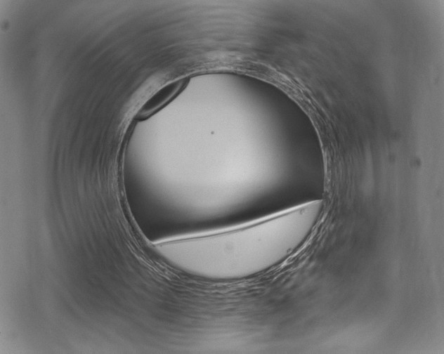X0000075370099200609080841