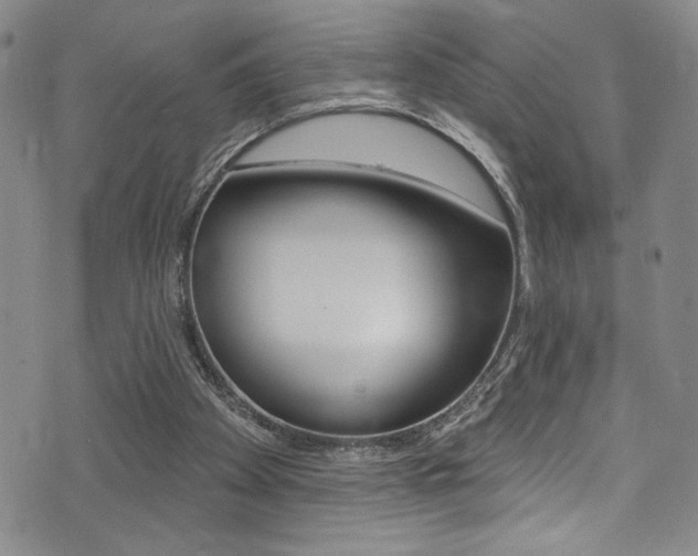 X0000075370105200609080841